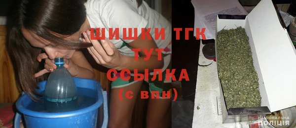 ГАЛЛЮЦИНОГЕННЫЕ ГРИБЫ Покровск
