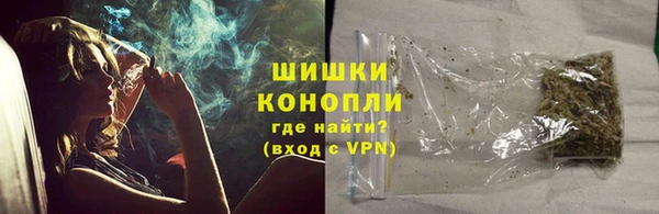 ГАЛЛЮЦИНОГЕННЫЕ ГРИБЫ Покровск