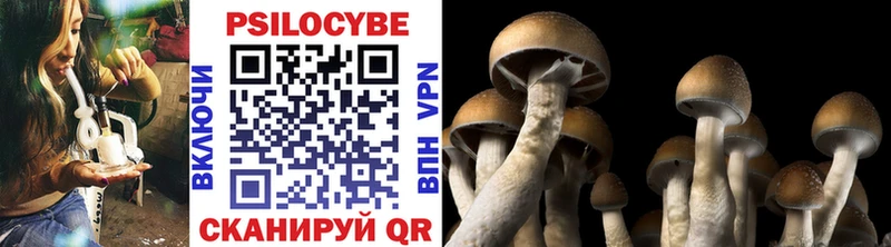 Псилоцибиновые грибы прущие грибы  Купить  Чердынь 